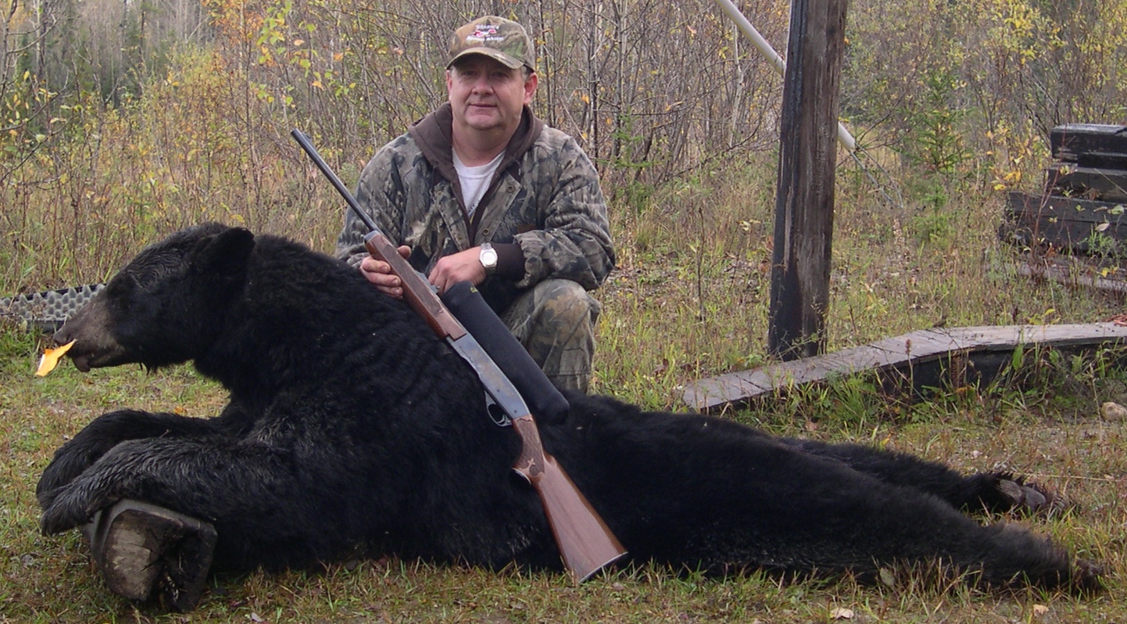 Canadian Black Bear Nagagami Outfitters