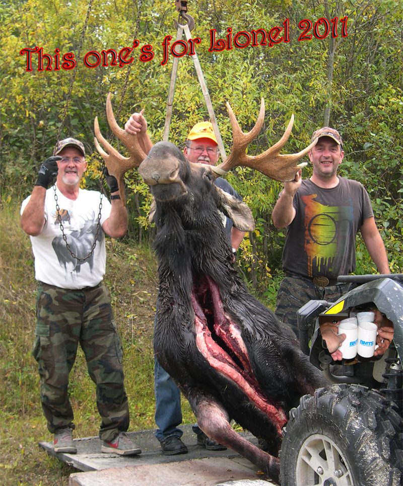 2011 Bull Moose