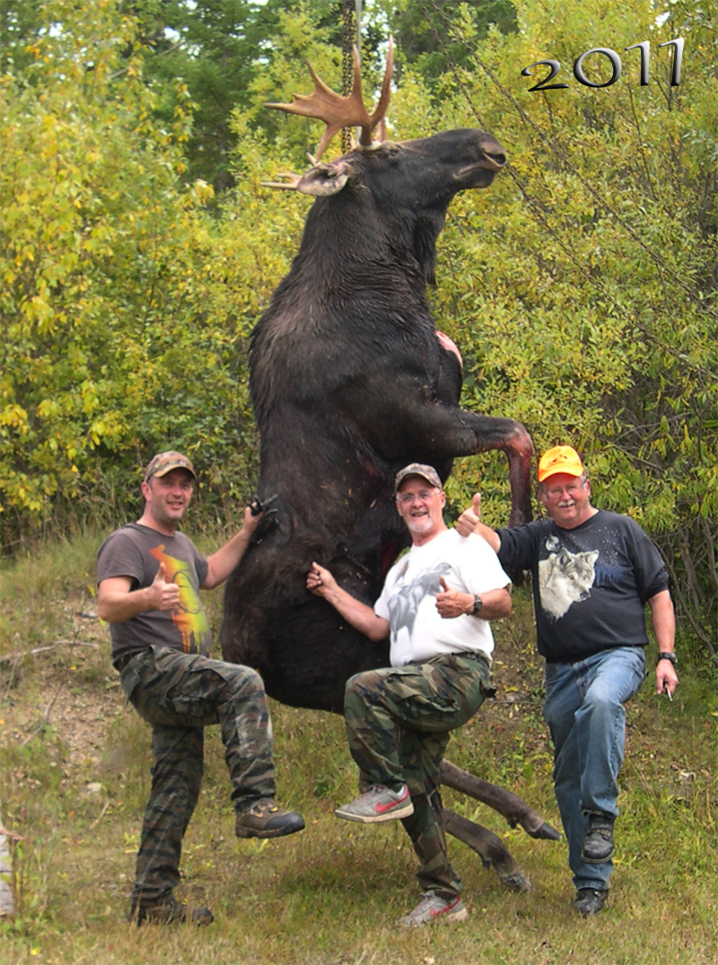 2011 Bull Moose