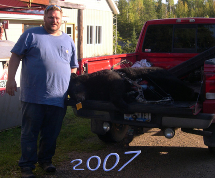 Canadian Black Bear