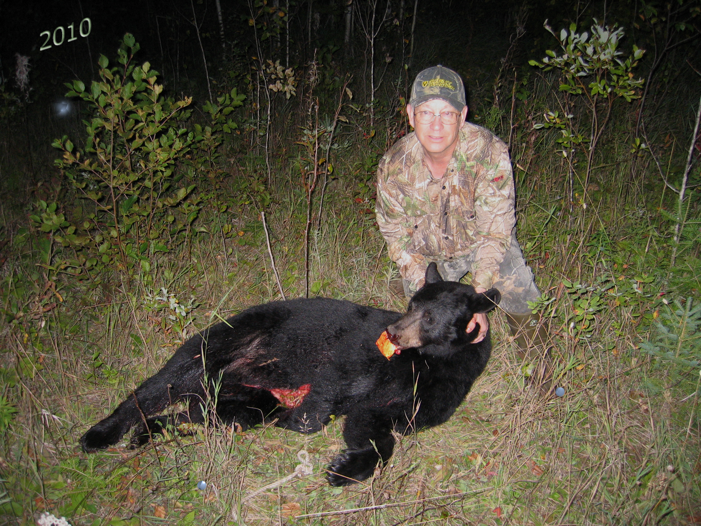 Canadian Black Bear Nagagami Outfitters