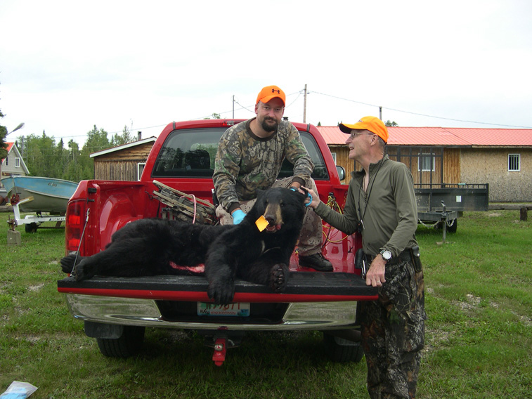 Canadian Black Bear Nagagami Outfitters